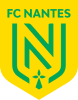 نانت logo