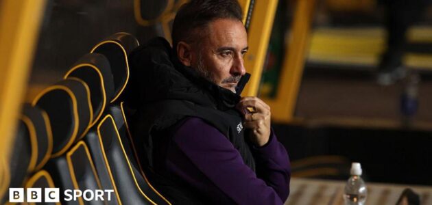 الصورة المميزة لـ: تغيير المدرب في ولفرهامبتون: هل ينقذ الذئاب من شبح الهبوط؟