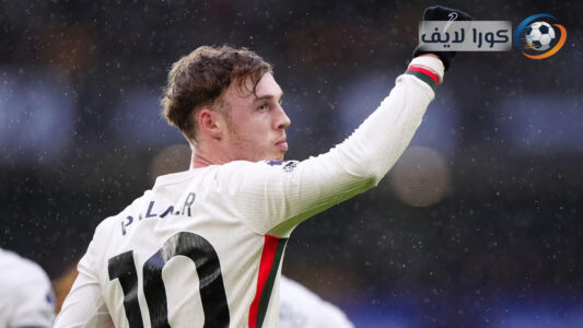 بالمر يحتفل بعد هاتريك تشيلسي في مباراة وولفرهامبتون 1-3