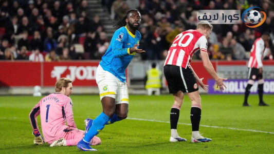 لاعبي برينتفورد وولفرهامبتون يحتفلون بعد تعادل مثير 2-2 في الدوري الإنجليزي.