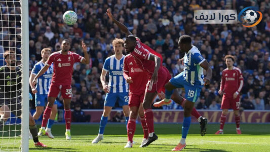 داني ويلبيك يحتفل بهدفه ضد ليفربول في مباراة برايتون وليفربول